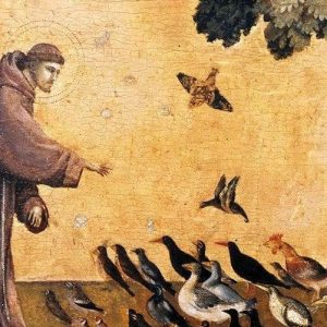 Saint François d'Assise